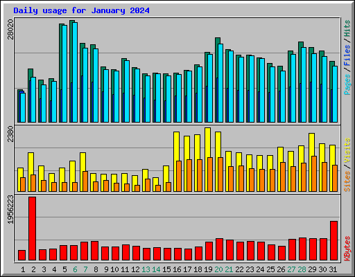 Daily usage for January 2024