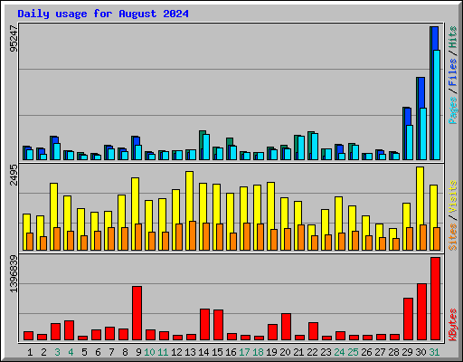 Daily usage for August 2024