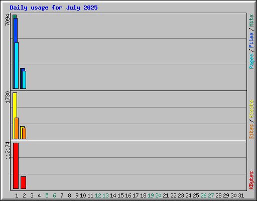 Daily usage for July 2025