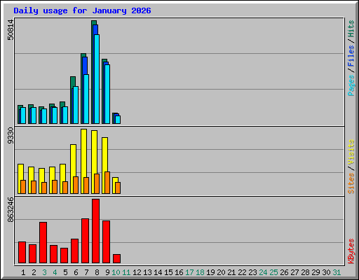 Daily usage for January 2026