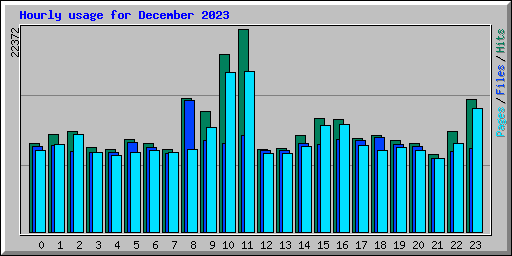 Hourly usage for December 2023