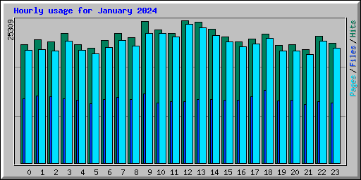 Hourly usage for January 2024