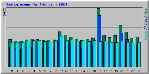 Hourly usage for February 2024