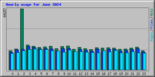 Hourly usage for June 2024