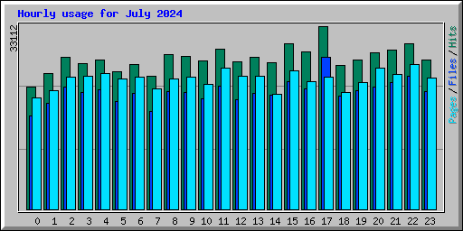 Hourly usage for July 2024