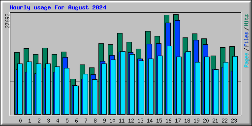 Hourly usage for August 2024