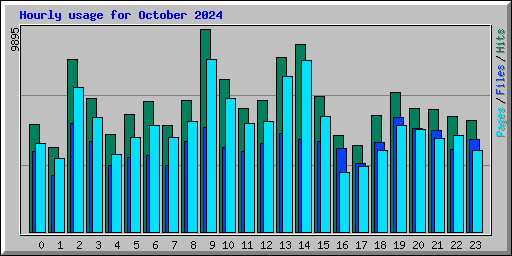 Hourly usage for October 2024