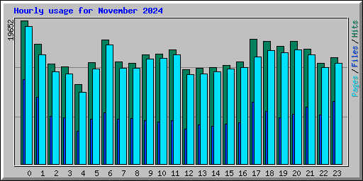 Hourly usage for November 2024