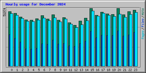 Hourly usage for December 2024