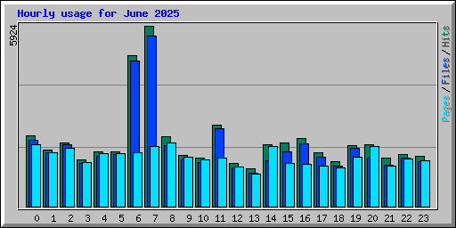 Hourly usage for June 2025