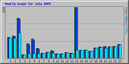 Hourly usage for July 2025