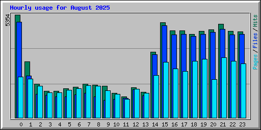 Hourly usage for August 2025