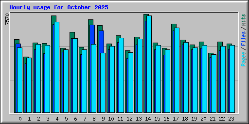 Hourly usage for October 2025
