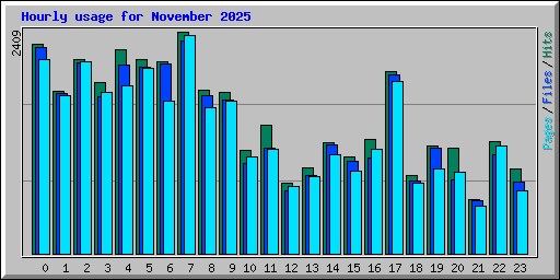 Hourly usage for November 2025