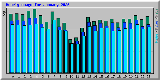 Hourly usage for January 2026