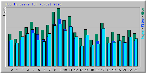 Hourly usage for August 2026