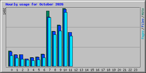 Hourly usage for October 2026
